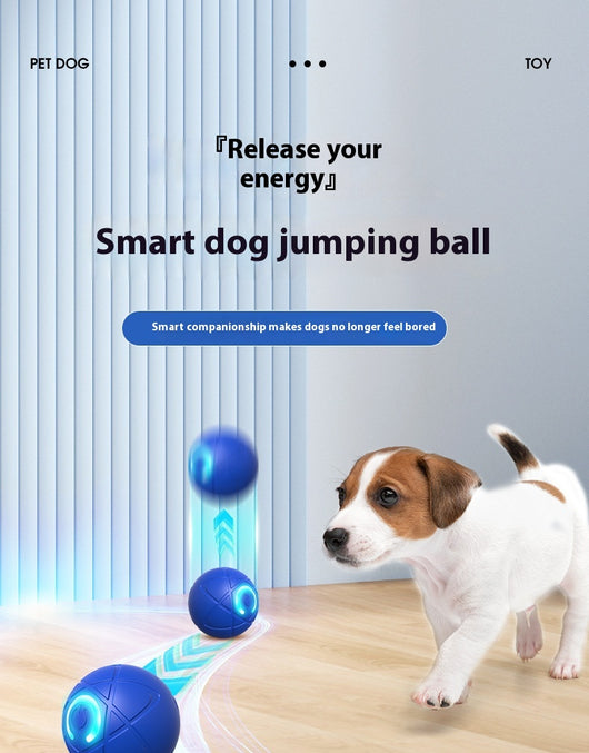 Orange pet jumping ball with a glowing purple power button icon, designed for interactive play with dogs and cats. - Image 15