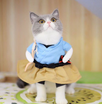 Disfraz de Gato Divertido - Traje Uniforme para Cosplay y Fiestas - Image 5