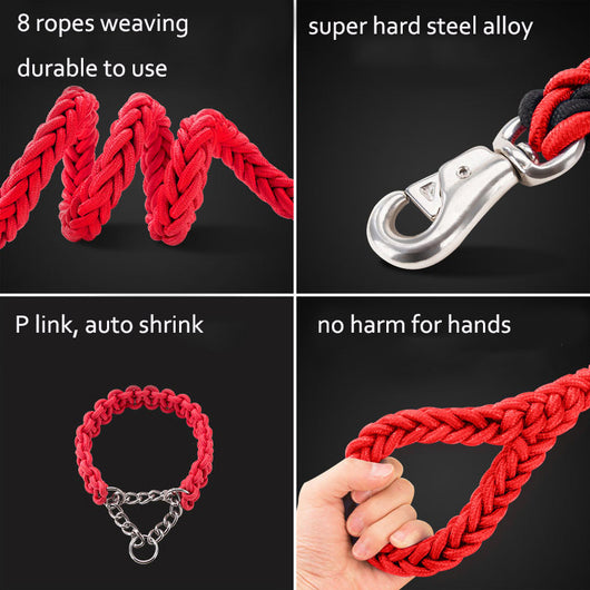 Collares y Correas para Perros de Nylon Reforzado - Entrenamiento y Paseos - Image 12