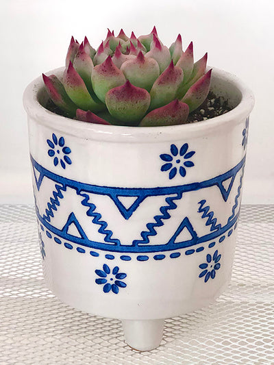 Maceta Decorativa Pintada a Mano con Cactus y Suculentas - Diseño Artístico - Image 4