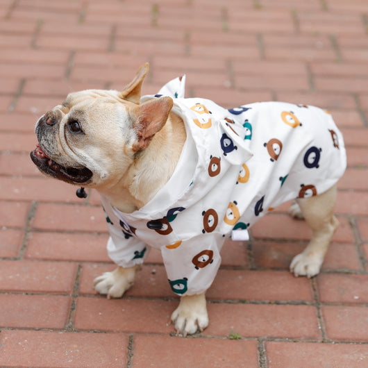 Impermeable para Cachorros - Traje Osito Resistente al Agua - Image 3