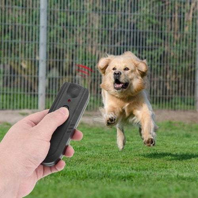 Repelente Ultrasónico Multifuncional para Perros - Image 2