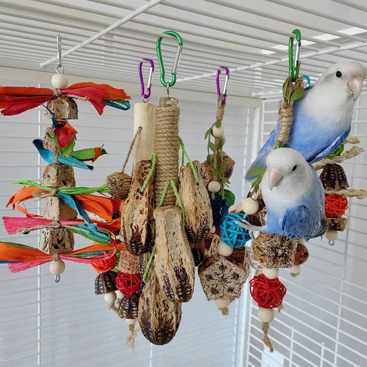 Five dried Yangtao nut shells, light brown with dark striped patterns and small holes, for birds or small pets.