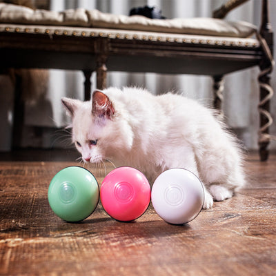 Pink plastic interactive pet toy ball with a power button and 'CLOSE'/'OPEN' markings for cats. - Image 9