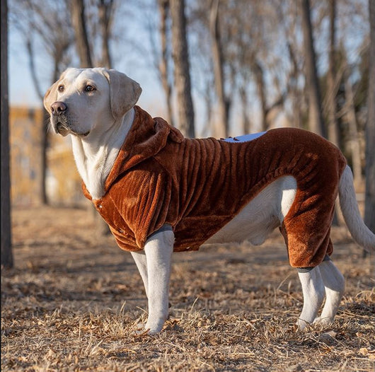 Ropa para Perros Grandes - Colección Año Completo Talla Mediana-Grande - Image 7