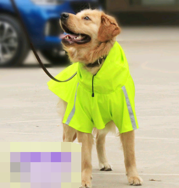 Poncho Impermeable Reflectante para Perros Grandes - Protección Total en Lluvia - Image 7