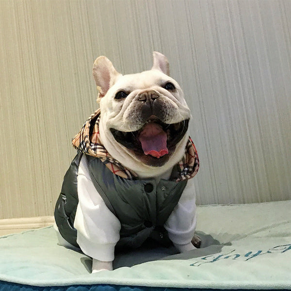 Abrigo de Algodón para Perros Grandes - Protección Invernal Brillante