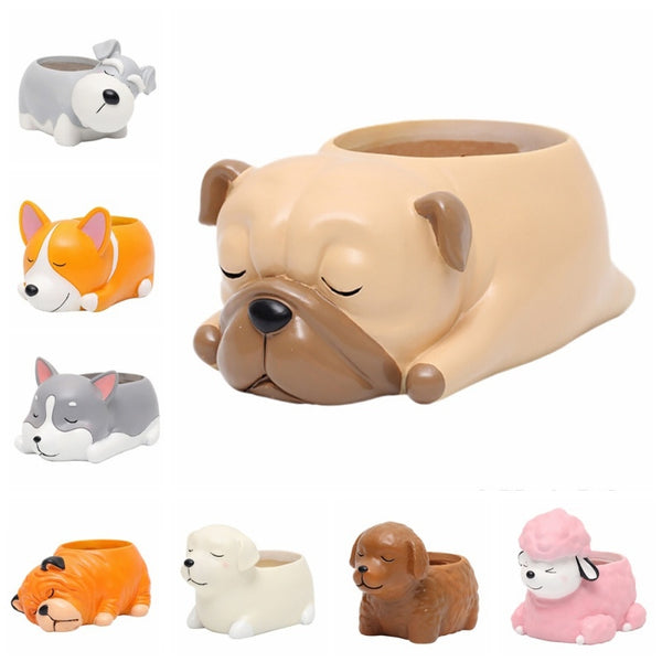 Maceta Decorativa Mascota Durmiente con Suculenta