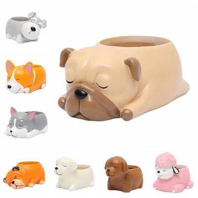 Maceta Decorativa Mascota Durmiente con Suculenta