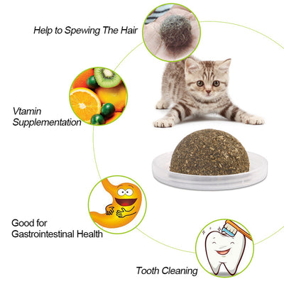 Natural Nepeta Cataria catnip ball in a clear plastic container with a label featuring a cartoon cat. - Image 3