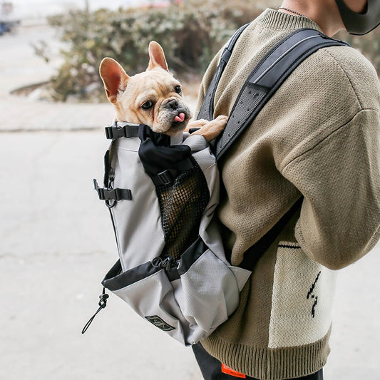 Mochila Transportadora para Perros - Portátil y Cómoda para Viajes