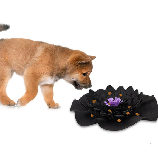 Tapete de Olfato para Mascotas - Image 3