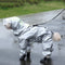Impermeable para Perros Teddy de Cuatro Patas Completo