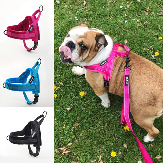 Chaleco Polar Ajustable con Arnés de Pecho para Mascotas