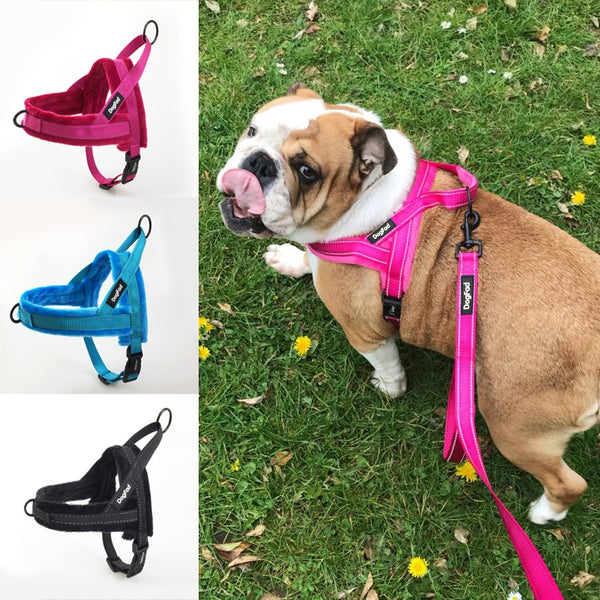 Chaleco Polar Ajustable con Arnés de Pecho para Mascotas