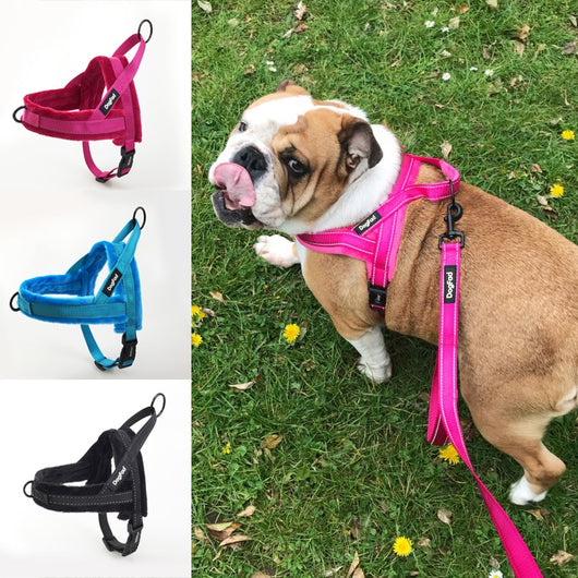 Chaleco Polar Ajustable con Arnés de Pecho para Mascotas
