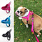 Chaleco Polar Ajustable con Arnés de Pecho para Mascotas
