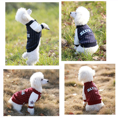 Camiseta Deportiva de Dos Mangas para Perro - Ropa de Otoño - Image 4