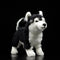 Peluche Husky Realista con Ojos de Pato Mandarín
