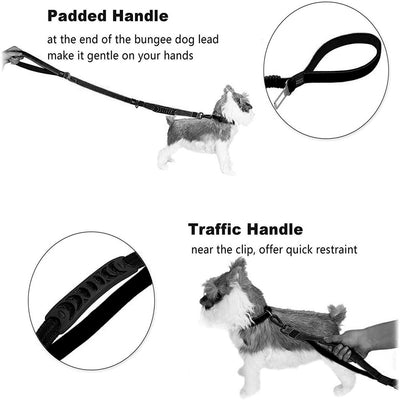 Correa Ajustable para Perros Grandes y Medianos con Amortiguador Bungee 4-6 pies - Image 8