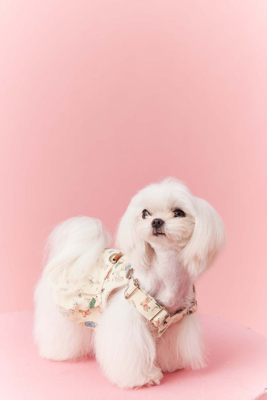 Falda Denim con Tirantes para Perros Pequeños Schnauzer y Maltés - Image 36