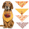Saliva de Pavo para Mascotas - Snack Thanksgiving