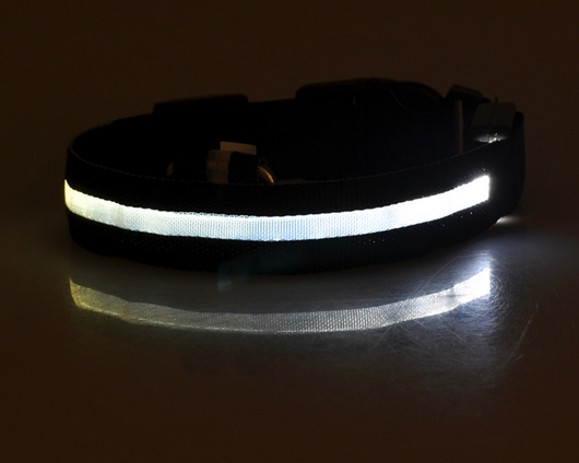 Collar LED Luminoso para Perros y Gatos - Seguridad Nocturna con Luz Fluorescente - Image 18