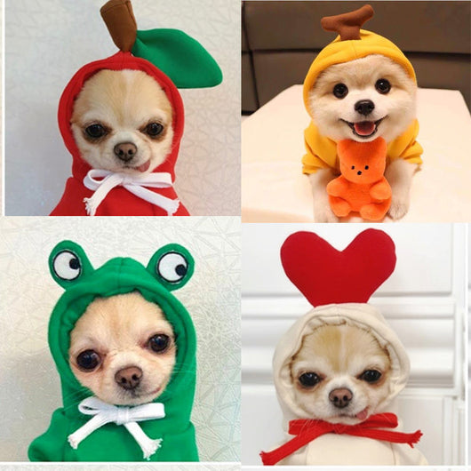 Sudadera con Capucha para Perros Pequeños - Abrigo Polar Verde Otoño Invierno