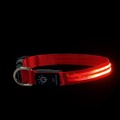Collar LED Impermeable para Mascotas - Iluminación Nocturna - Image 2