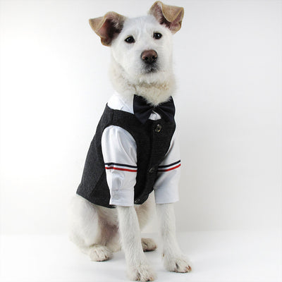 Traje de Boda para Mascotas - Image 7