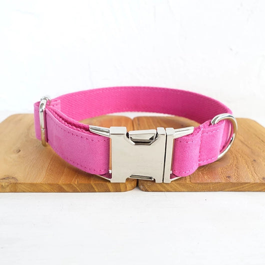 Correa y Collar para Perro Ajustable - Image 14