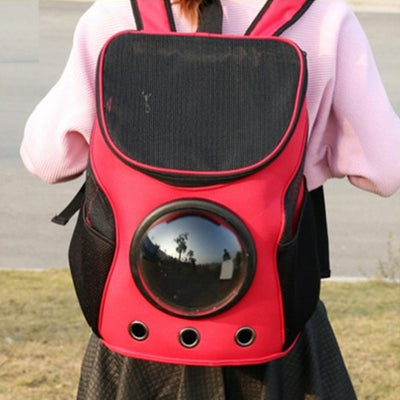 Blue and black pet carrier backpack with a clear bubble window, mesh sides, and ventilation holes, carried by a person outdoors. - Image 6