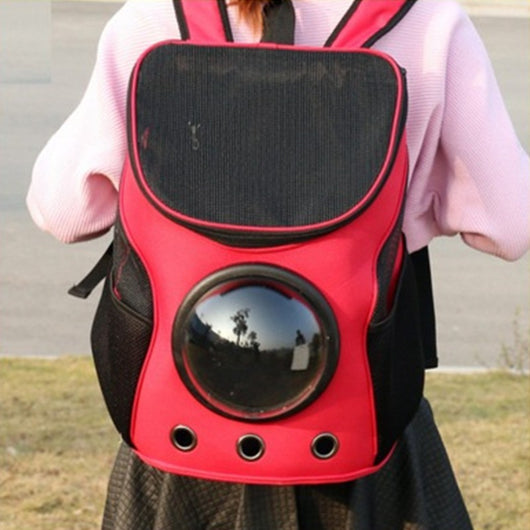 Blue and black pet carrier backpack with a clear bubble window, mesh sides, and ventilation holes, carried by a person outdoors. - Image 6