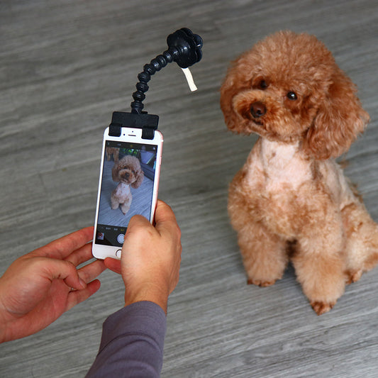 Palo Selfie para Mascotas - Captura Momentos Divertidos