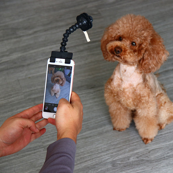 Palo Selfie para Mascotas - Captura Momentos Divertidos