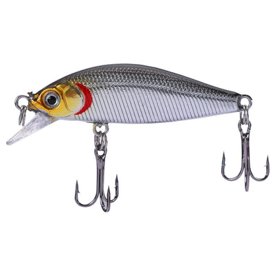 Carnada Viva para Pesca de Agua Dulce - Cucaracha Bass - Image 6