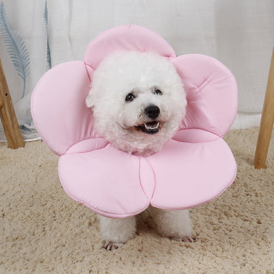 Protector Antirraspuños para Mascotas con Diseño Floral - Image 11