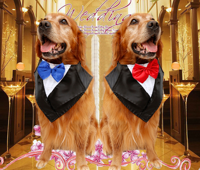 Pañuelo Formal para Perros Grandes - Diseño Esmoquin Elegante - Image 4