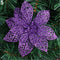 Morado 10 Piezas