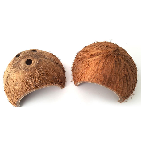 Cueva Refugio Natural de Cáscara de Coco para Reptiles