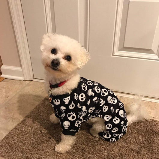 Ropa cómoda para mascotas