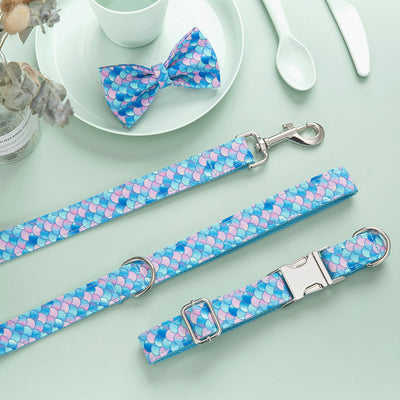 Collar Personalizado para Perros con Letras - Expresa su Personalidad - Image 6
