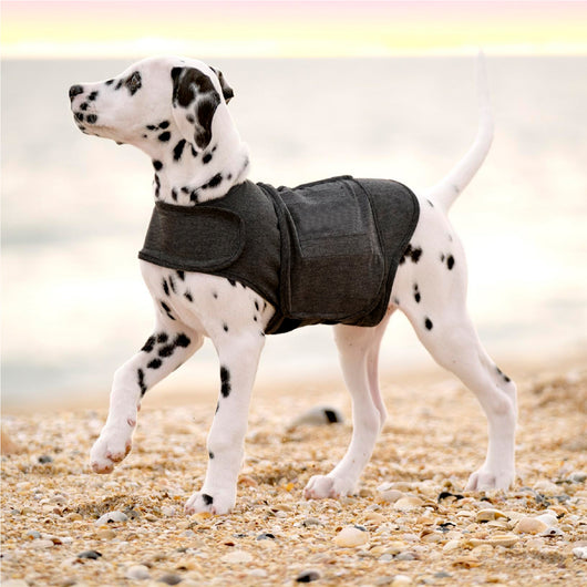 Chaleco Térmico para Perros - Abrigo Cálido y Cómodo