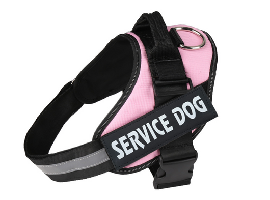 Arnés de Pecho para Perro con Correa Integrada - Image 18
