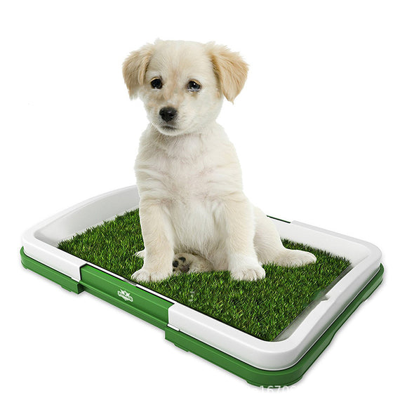 Bandeja Sanitaria de Rejilla para Perros - Entrenamiento de Baño