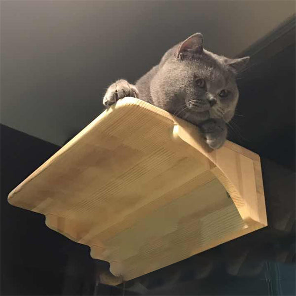 Arenero Felino Montado en Pared de Madera
