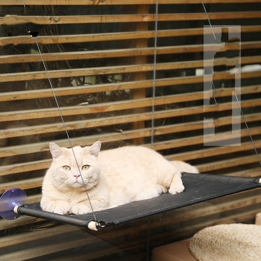 Hamaca de Cristal para Gatos - Cama Colgante con Ventosas Súper Adherentes - Image 14