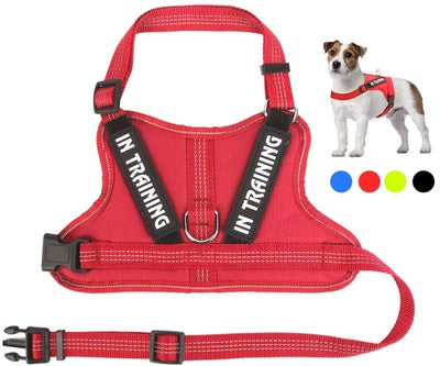 Arnés Personalizado para Mascotas - Image 4
