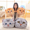 Almohada Gato Peluche 40-50cm | Cojín Coche y Sofá Adorable