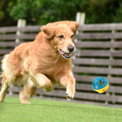 Juguete Interactivo para Perros con Dispensador de Comida y Limpieza Dental - Image 5